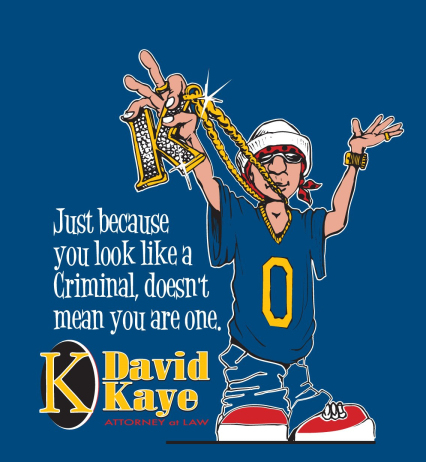 David Taylor Kaye lawyer criminal defense
